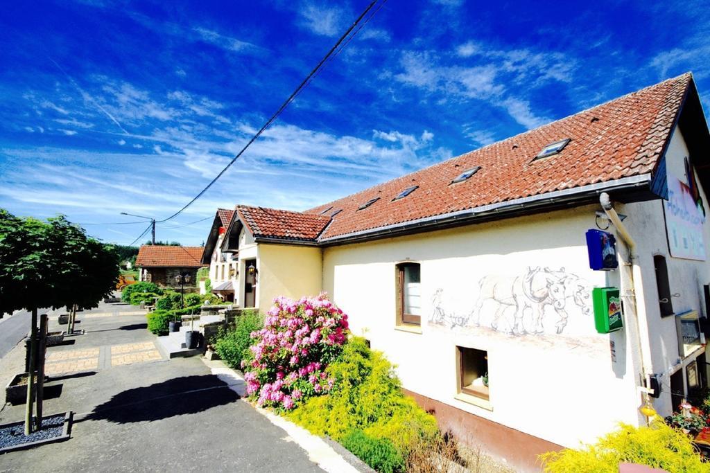Appartement Am Hohenbusch Burg Reuland Ngoại thất bức ảnh